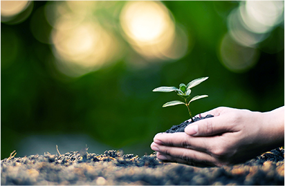 Sustainable Development